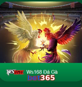bet365